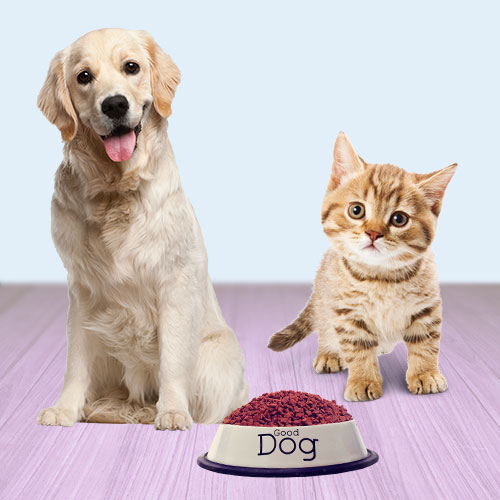 Pet Foods Packaging